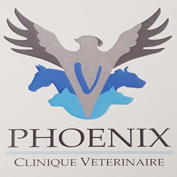 Phoenix Clinique Vétérinaire