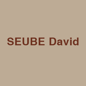 Seube David Construction, travaux publics