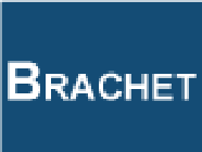 Brachet Fabien EURL