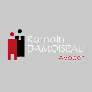 MAITRE ROMAIN DAMOISEAU AVOCAT