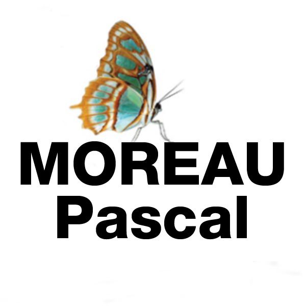 Moreau Pascal