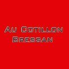 Cotillon Bressan Au vêtement pour femme (détail)