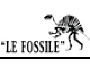 Restaurant Le Fossile restaurant
