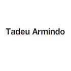 Tadeu Armindo Construction, travaux publics