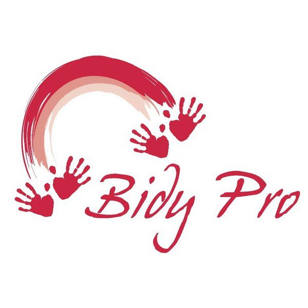 Bidy Pro isolation (travaux)