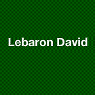 Lebaron David