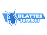 Blattes Services