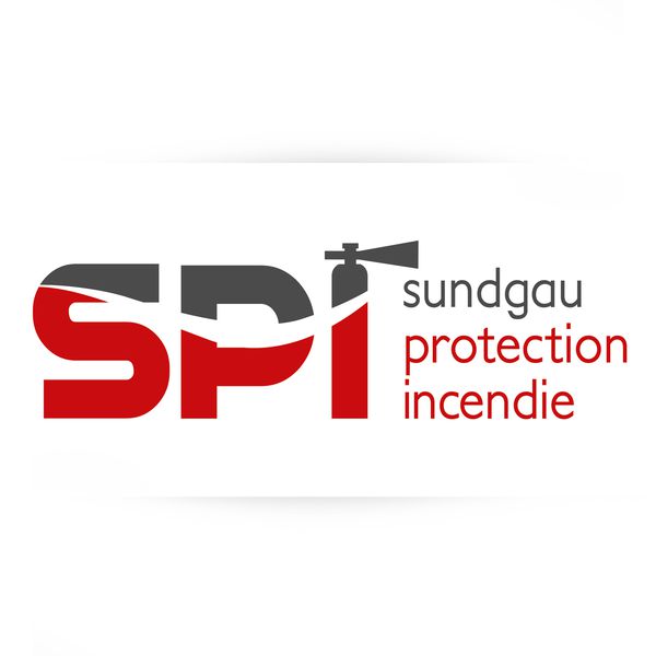 Sundgau Protection Incendie SAS - Destruction Nids De Guêpes et frelons protection contre l'incendie (matériel, installation, maintenance)