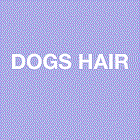 Dog's Hair