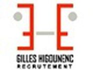 Gilles Higounenc Recrutement Pôle emploi, Assedic, Anpe