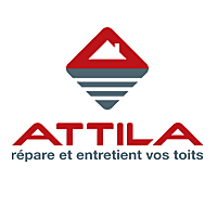 Attila Clermont Ferrand toiture (démoussage, nettoyage et traitement)