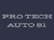 Pro Tech Auto 81