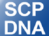 DNA SCP avocat