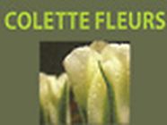 COLETTE FLEURS fleuriste