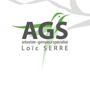 AGS Arboriste Grimpeur Spécialisé entrepreneur paysagiste