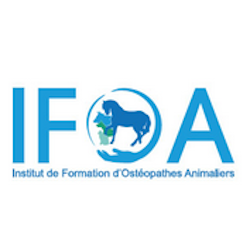 IFOA