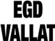 EGD Vallat électricité (production, distribution, fournitures)