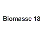 Biomasse 13