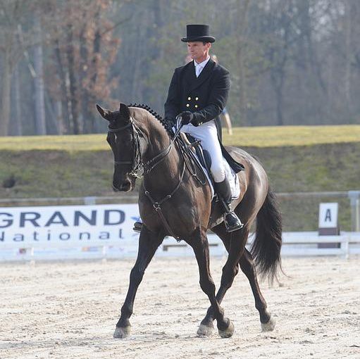 Ecole D'Equitation De Peillonnex