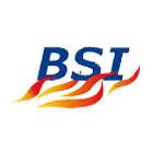 BSI protection contre l'incendie (matériel, installation, maintenance)