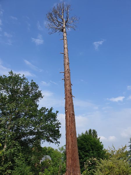 Entreprise Lecoq arboriculture et production de fruits