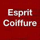 Esprit Coiffure Coiffure, beauté