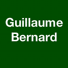 M. Guillaume Bernard