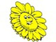 Le Tournesol