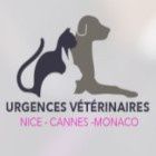 Urgence Vétérinaire De Garde Nice vétérinaire