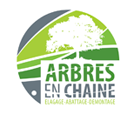 Arbres En Chaine