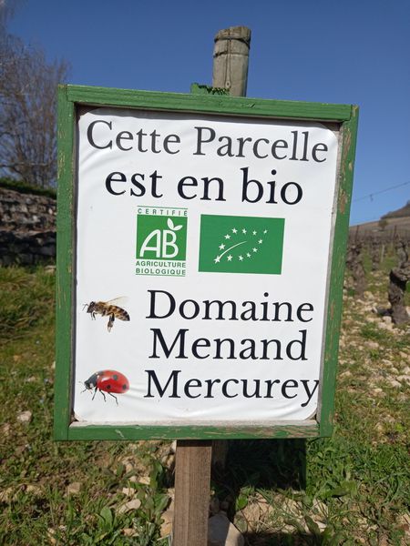 Domaine Philippe et Fabienne Menand vin (producteur récoltant, vente directe)