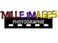 Mille Images graphiste