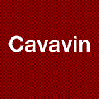 Cavavin caviste