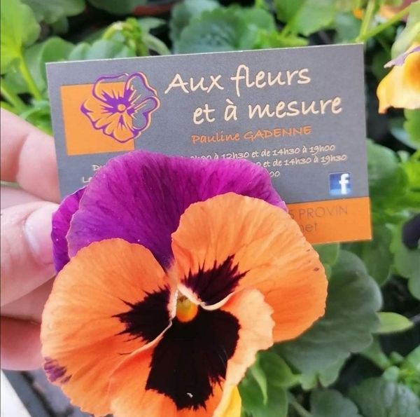 Aux Fleurs Et A Mesure fleuriste