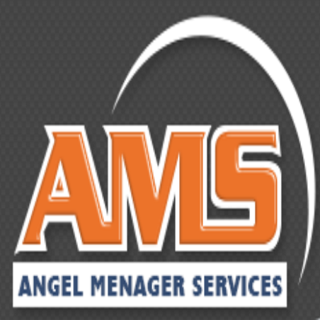 Angel Ménager Services AMS