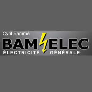 Bamelec électricité (production, distribution, fournitures)