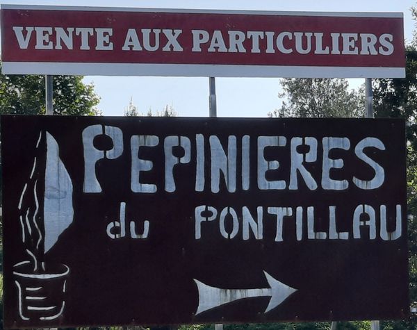 Pépinière du Pontillau