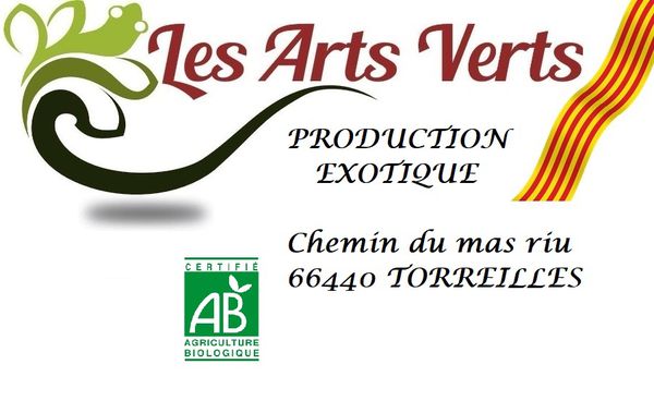 ESPACE DECO - LES ARTS VERTS