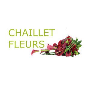 Chaillet Fleurs Ouvert le dimanche