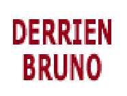 Derrien Bruno électricité (production, distribution, fournitures)