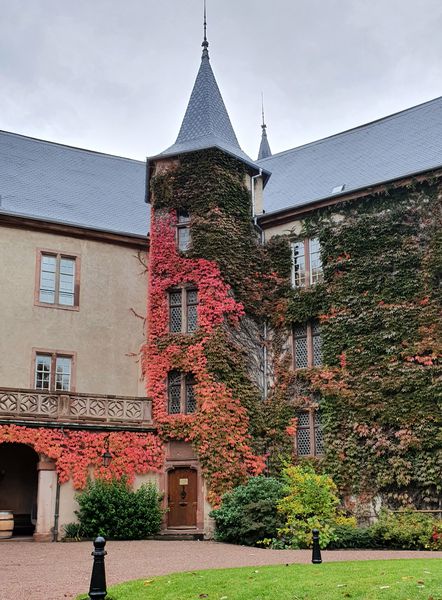 Confrérie Saint Etienne d'Alsace restaurant pour réception, banquet et séminaire