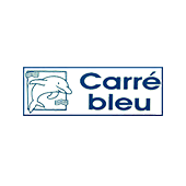 Carré Bleu cuir (réparation, nettoyage, teinture)