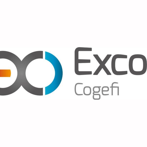 Exco Cogefi Conseil commercial, financier et technique