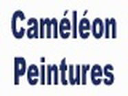 Cameleon Peintures