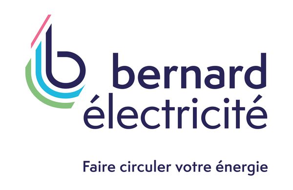 Bernard Electricité électricité (production, distribution, fournitures)