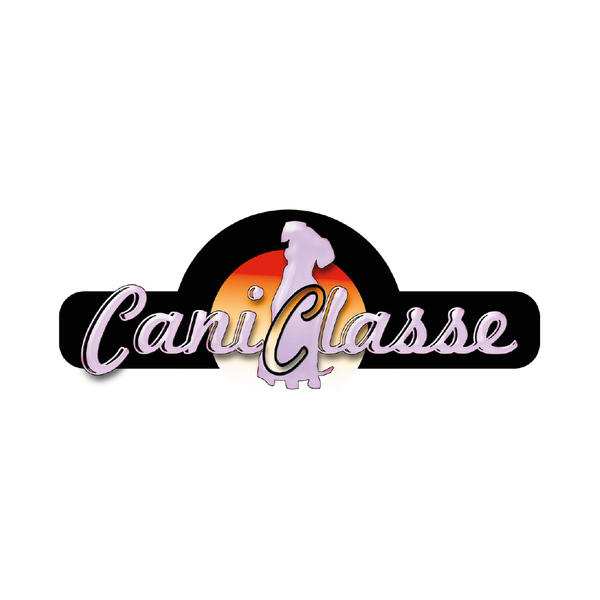 Caniclasse dressage animal