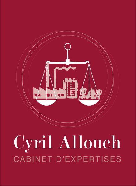 Cyril ALLOUCH - Expert Immobilier conseil départemental