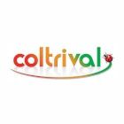 Coltrival entreprise de démolition