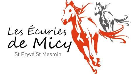 Les Ecuries de Micy centre équestre, équitation