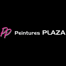 Plaza Cédric peinture et vernis (détail)